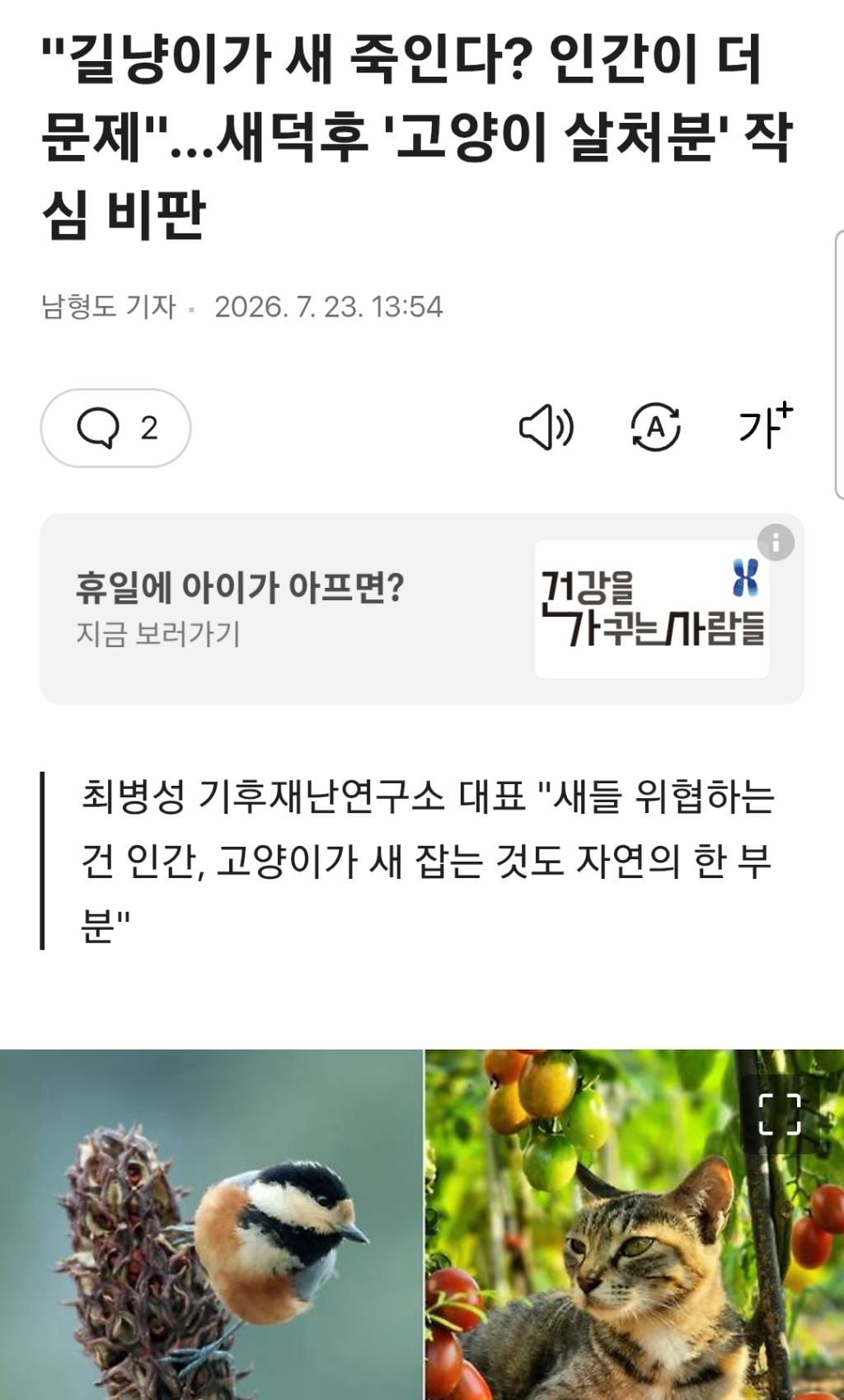 길냥이가 새죽인다?인간이 더 문제... 새덕후 '고양이 살처분' 작심비판 | 인스티즈