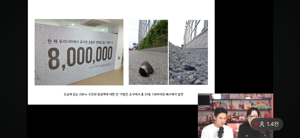 고양이 살처분이 답이다?! 나응식, 이학범 수의사 라이브 | 인스티즈