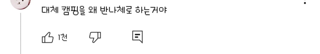 댓글들 난리난 노출 심한 차림으로 우중캠핑하는 일부 유튜버들 풍자한 엄은향 | 인스티즈