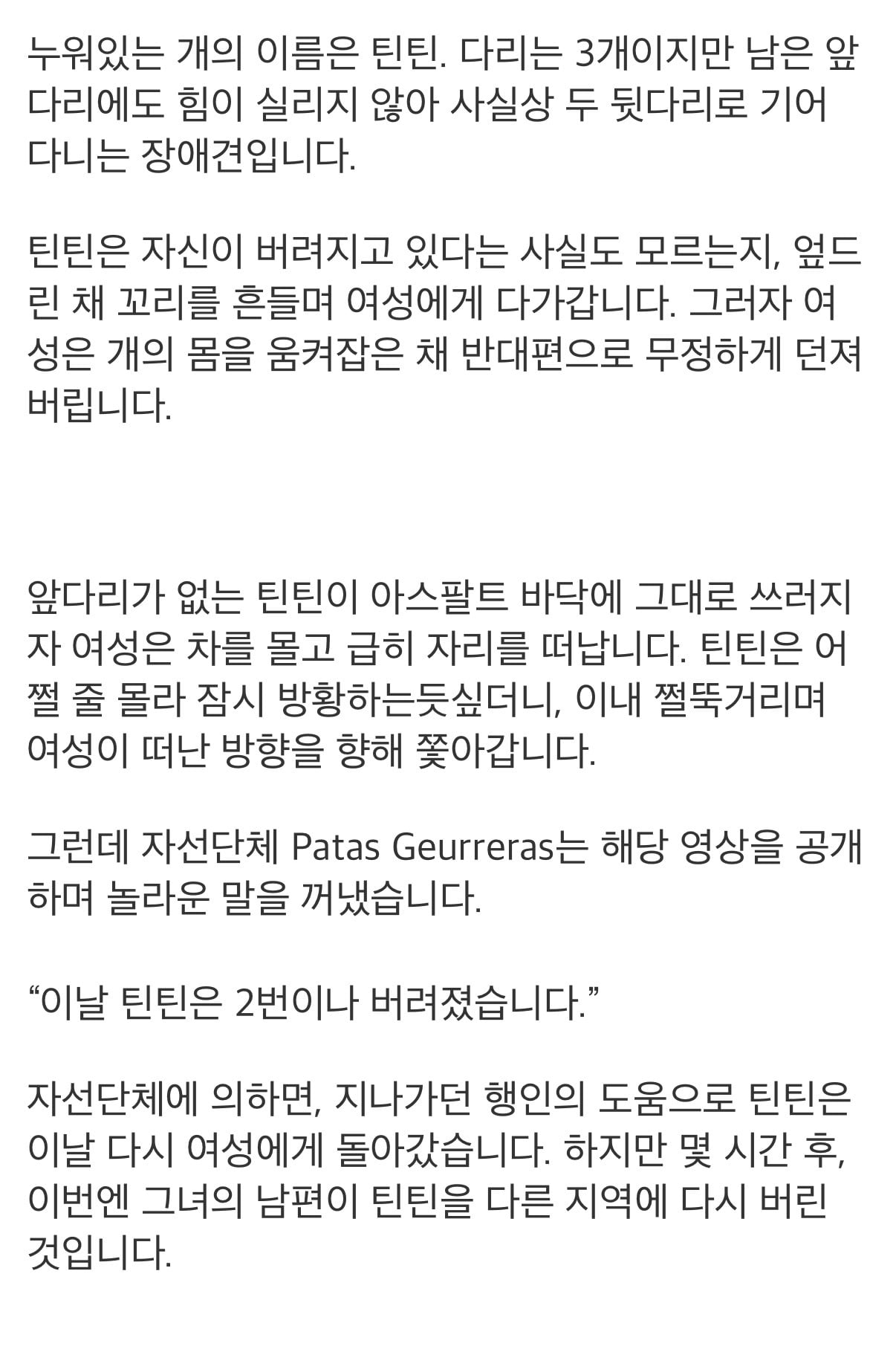 브라질에서 일어난, 다리가 없는 강아지 유기사건 | 인스티즈