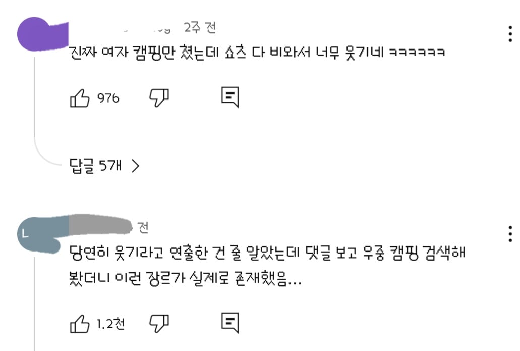 댓글들 난리난 노출 심한 차림으로 우중캠핑하는 일부 유튜버들 풍자한 엄은향 | 인스티즈