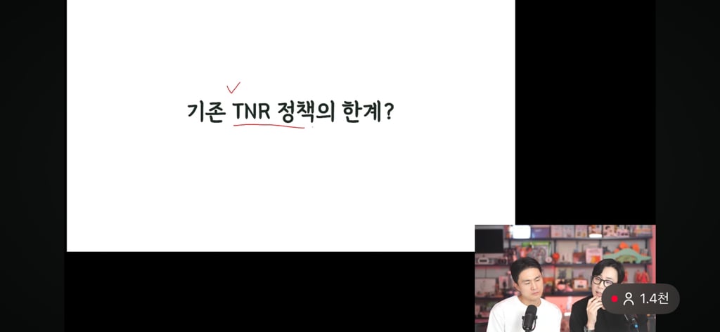 고양이 살처분이 답이다?! 나응식, 이학범 수의사 라이브 | 인스티즈