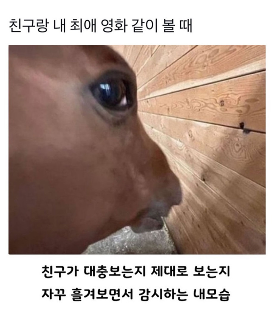 친구랑 내 최애 영화 같이 볼 때 | 인스티즈