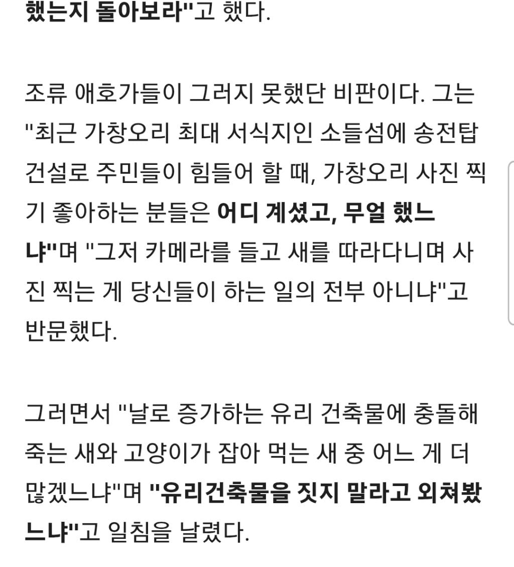 길냥이가 새죽인다?인간이 더 문제... 새덕후 '고양이 살처분' 작심비판 | 인스티즈