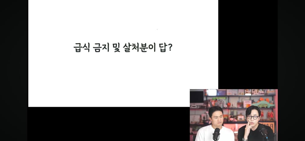 고양이 살처분이 답이다?! 나응식, 이학범 수의사 라이브 | 인스티즈