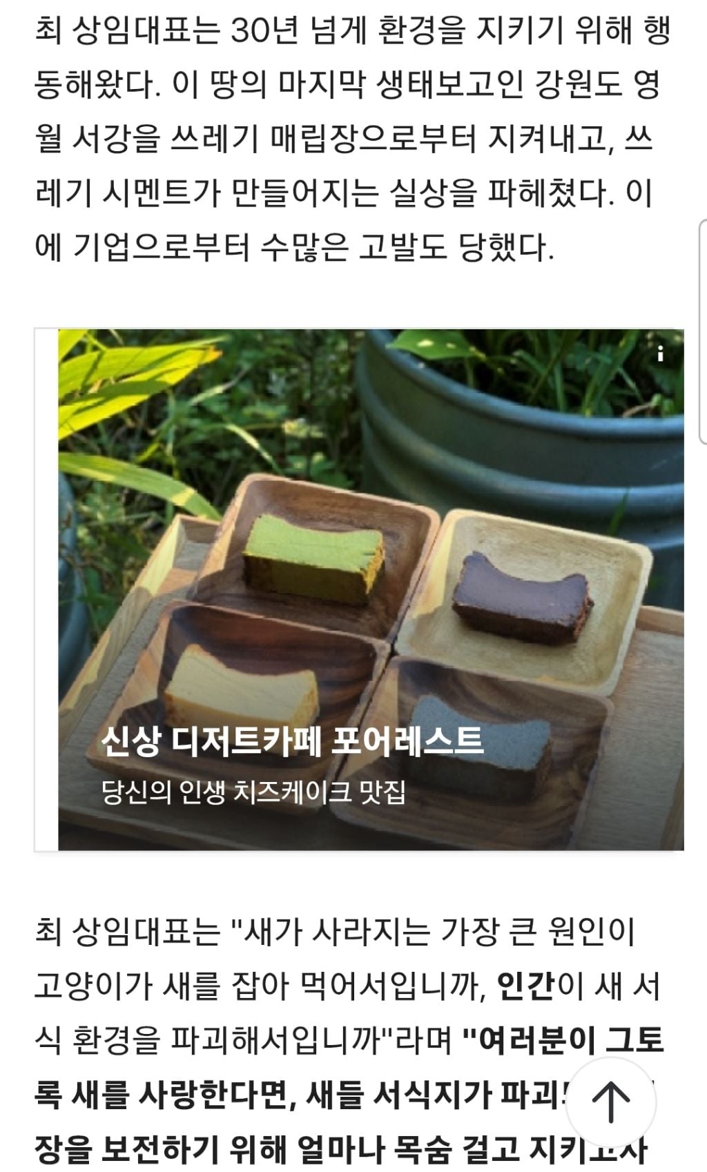 길냥이가 새죽인다?인간이 더 문제... 새덕후 '고양이 살처분' 작심비판 | 인스티즈