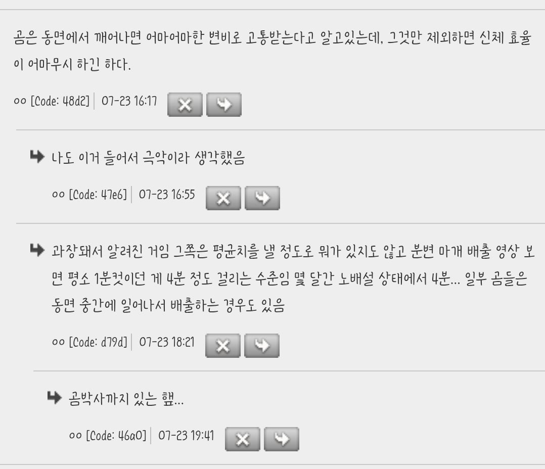 진지하게 곰이 추구미였음 | 인스티즈