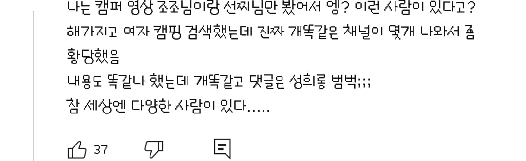 댓글들 난리난 노출 심한 차림으로 우중캠핑하는 일부 유튜버들 풍자한 엄은향 | 인스티즈
