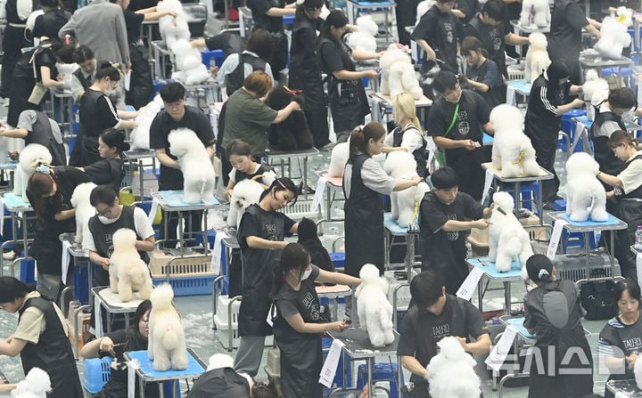 "예쁘게 해주세요" KKF 전국 애견미용 콘테스트 [뉴시스Pic] | 인스티즈