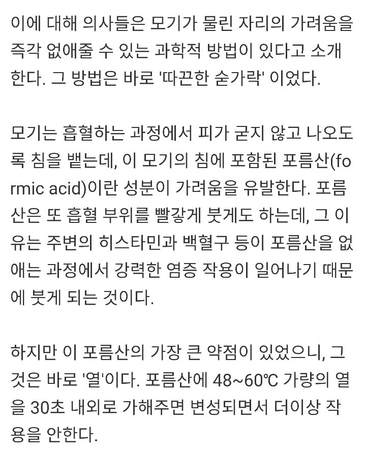 모기 물렸을 때, 이것만 기억하면 가려움 끝! | 인스티즈