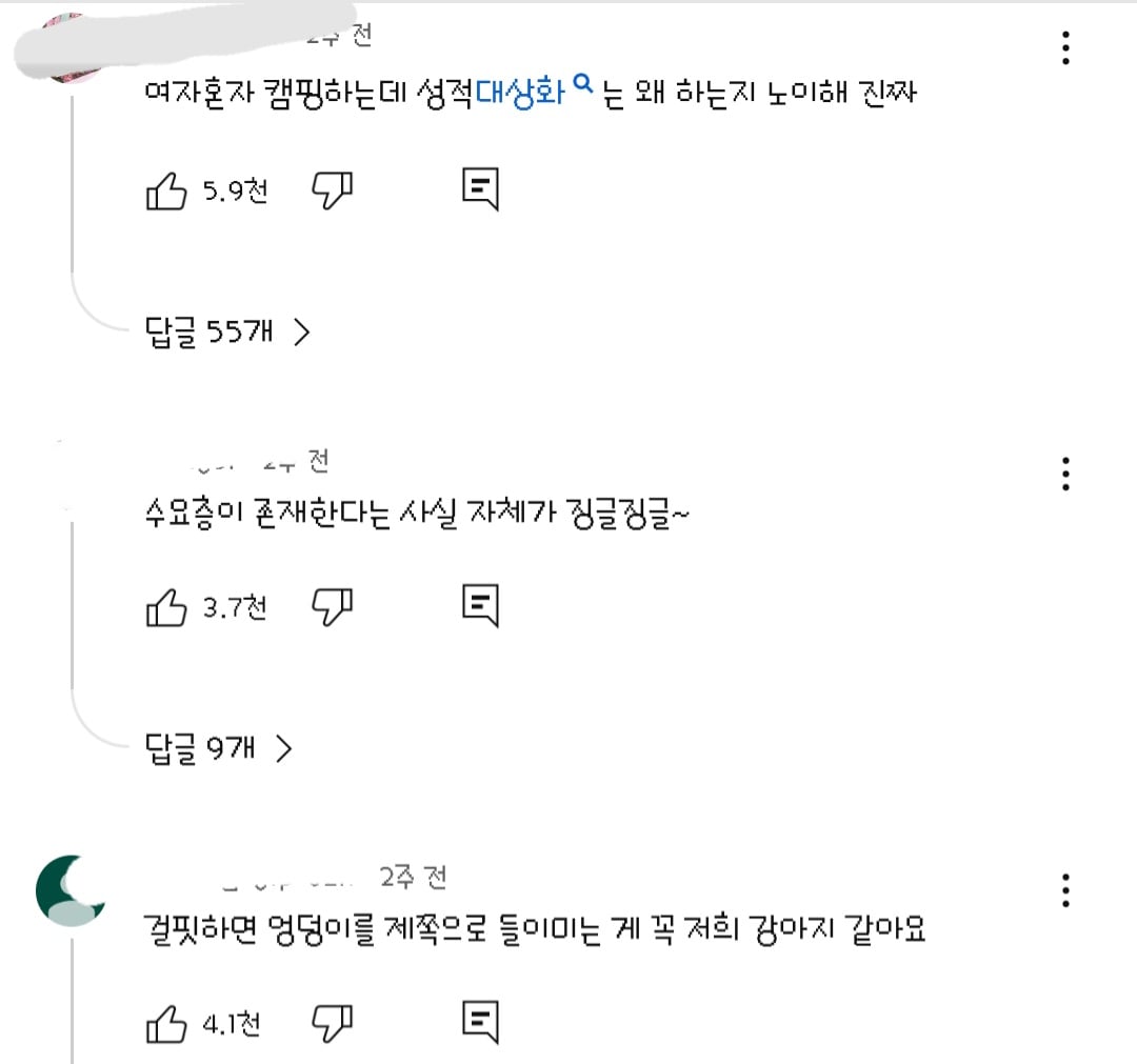 댓글들 난리난 노출 심한 차림으로 우중캠핑하는 일부 유튜버들 풍자한 엄은향 | 인스티즈