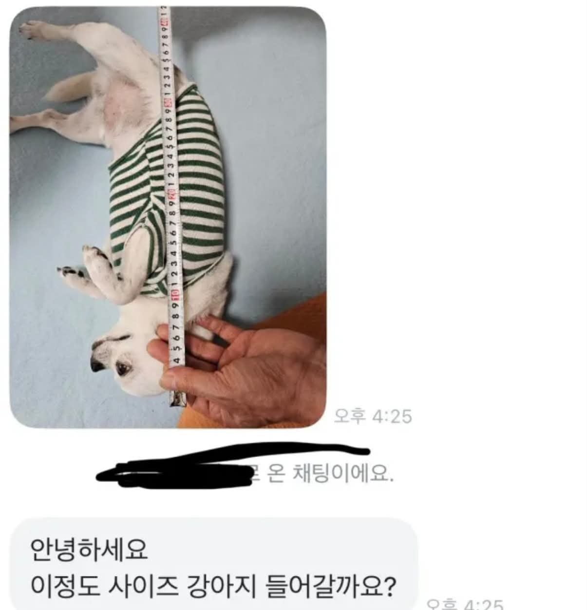 당근에 강아지 집을 올렸는데.jpg | 인스티즈