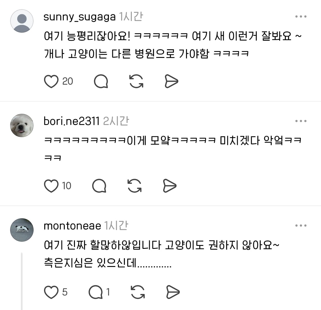 우리동네 미스테리 ⋯ 동물병원 원장님이 개를 | 인스티즈