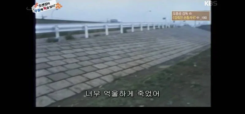 녹화중 울음이 터져 녹화 중단 된 역사저널 그날 | 인스티즈