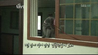자아 정체성의 혼란 온 긴팔원숭이 보리 | 인스티즈