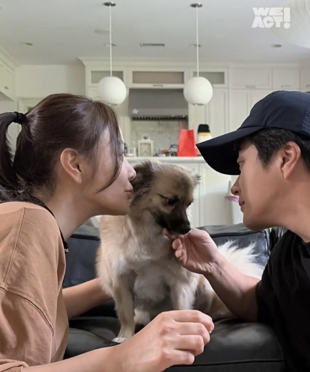 안락사 예정이었던 유기견 입양한 손태영 권상우 부부 | 인스티즈