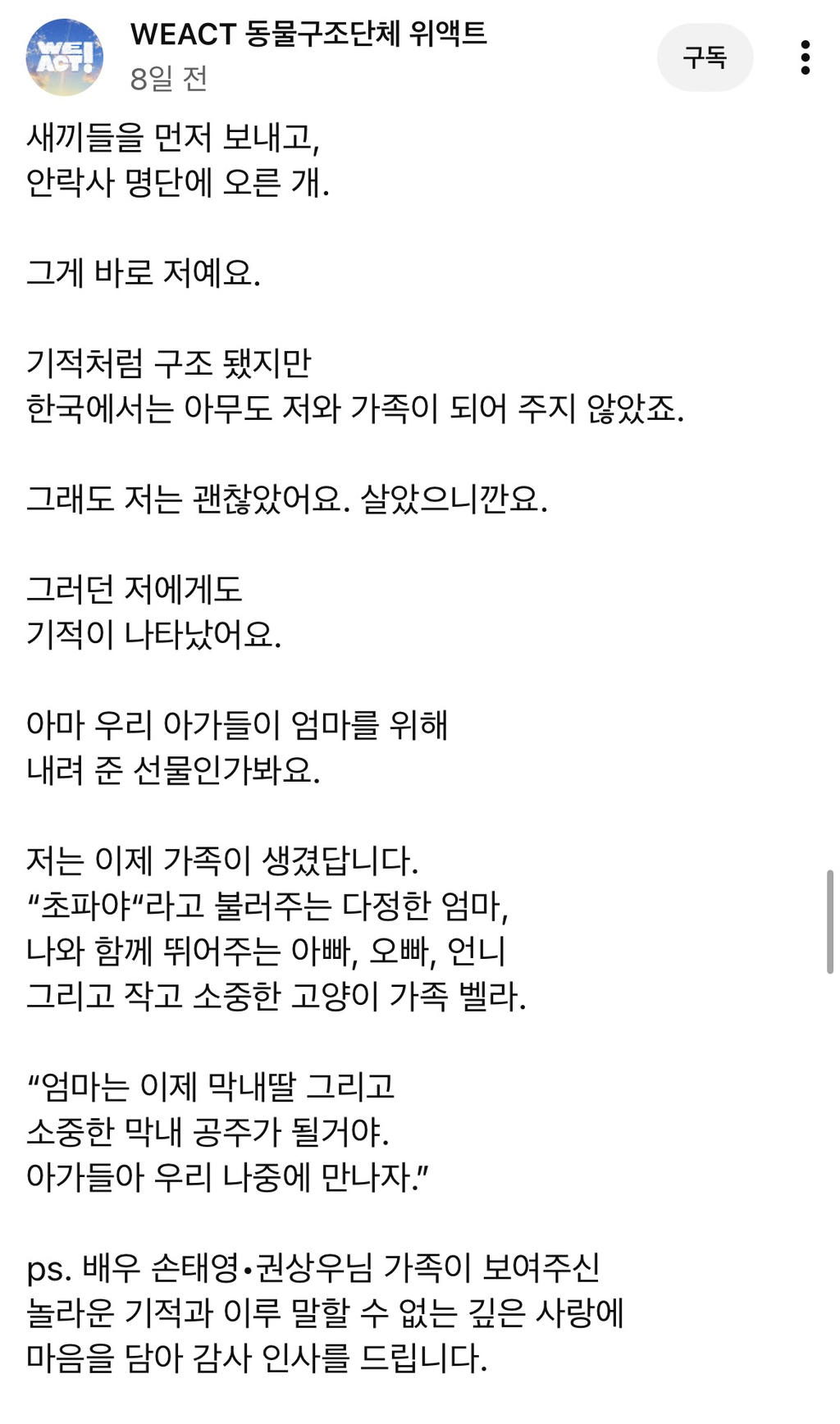 안락사 예정이었던 유기견 입양한 손태영 권상우 부부 | 인스티즈