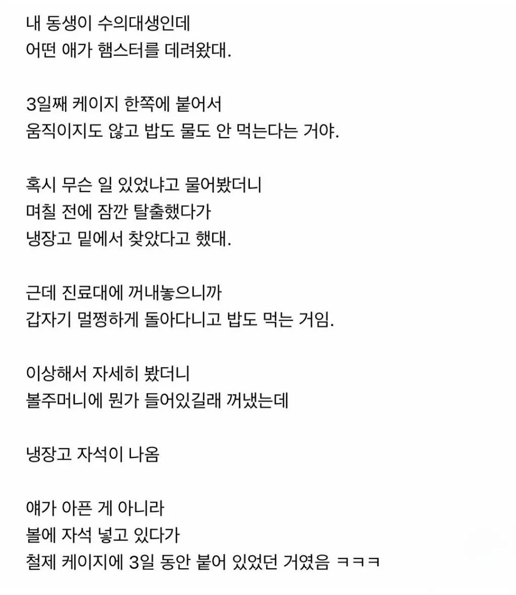 햄스터가 3일동안 밥을 안먹은 이유 | 인스티즈