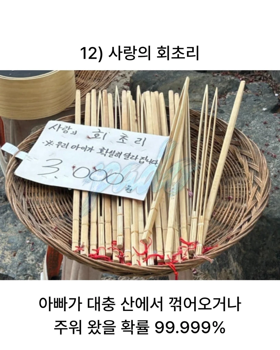 8090 시절엔 금쪽이가 없었던 이유 | 인스티즈