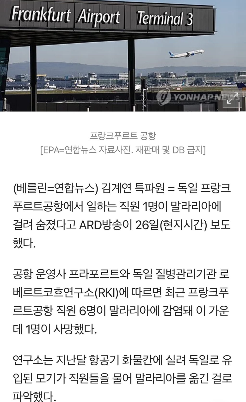 말라리아 모기, 항공기에 실려 독일까지…공항 직원 사망 | 인스티즈