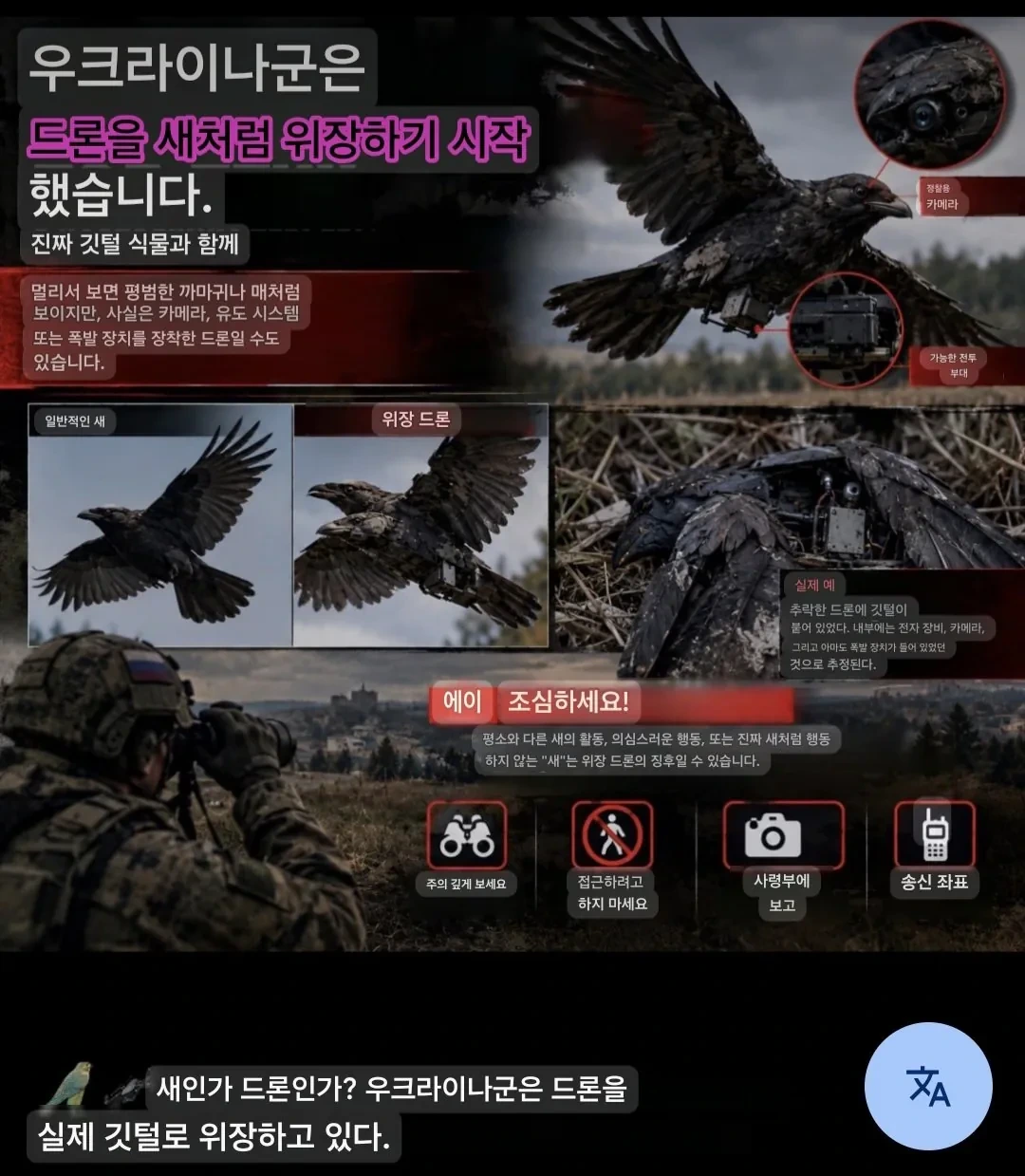 우크라이나에 정체불명의 새(?!)들이 등장했다 | 인스티즈