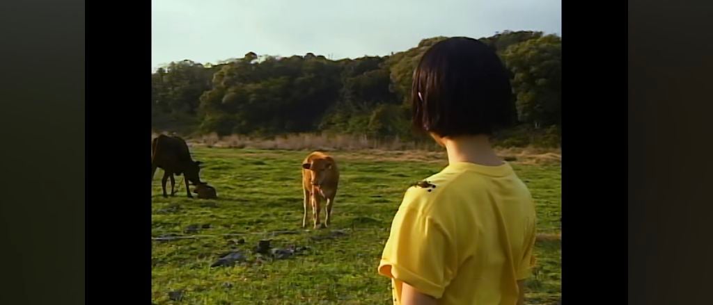 뉴진스 버블검 뮤직비디오랑 비슷하다고 말 나오는 신인걸그룹 | 인스티즈