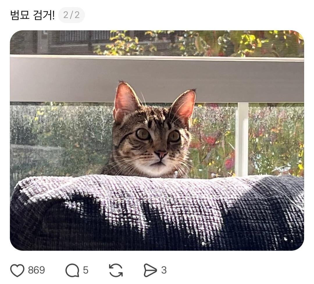 설거지 후 뚜껑 안 덮고 놔둔 스탠냄비 | 인스티즈