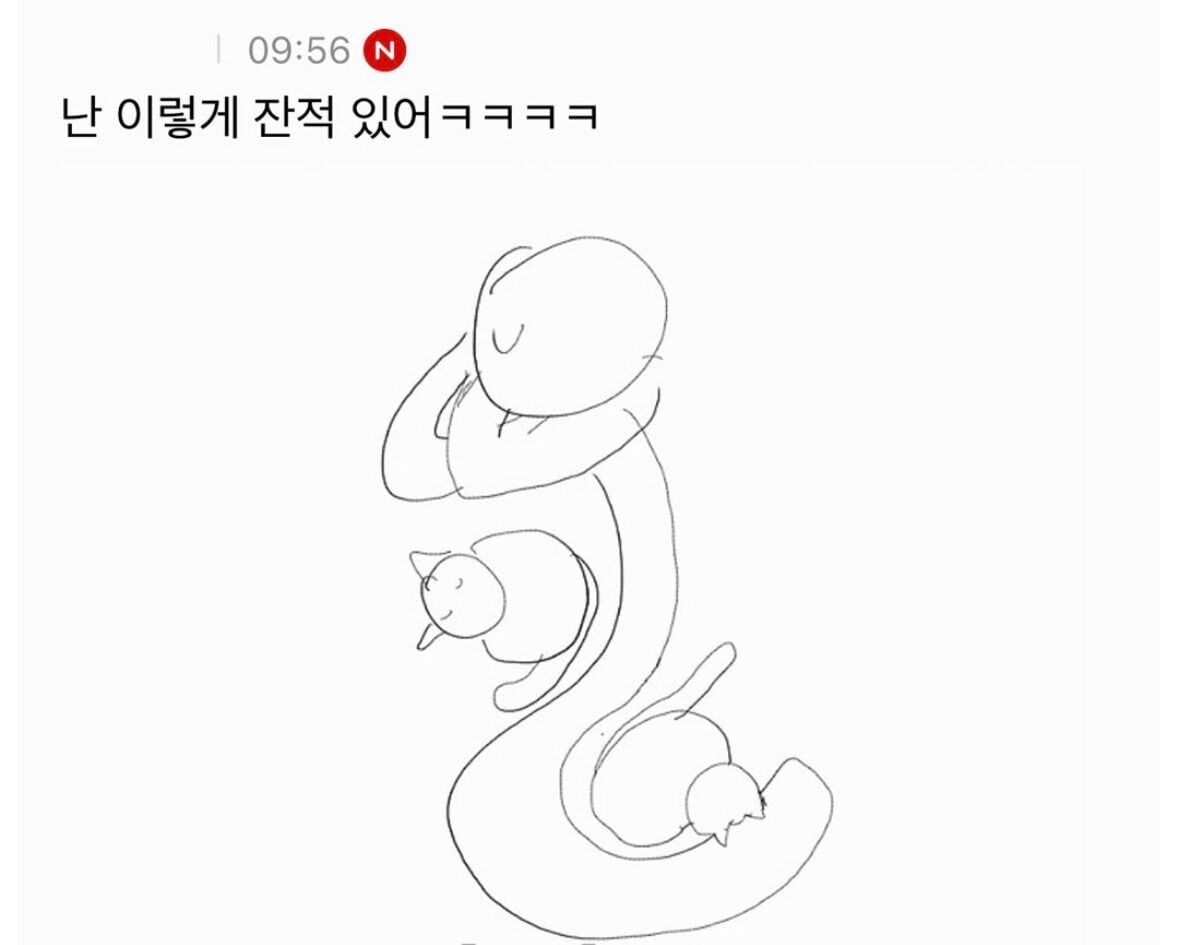 고양이 집사들의 허리가 아픈 이유 | 인스티즈